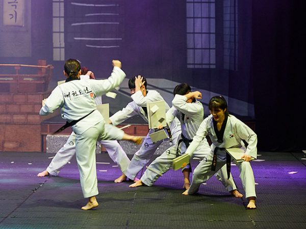 Taekwondo SMA Fons Vitae 2