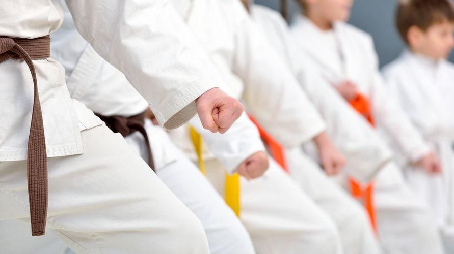 Ekskul Karate SMA Fons Vitae 2 Marsudirini